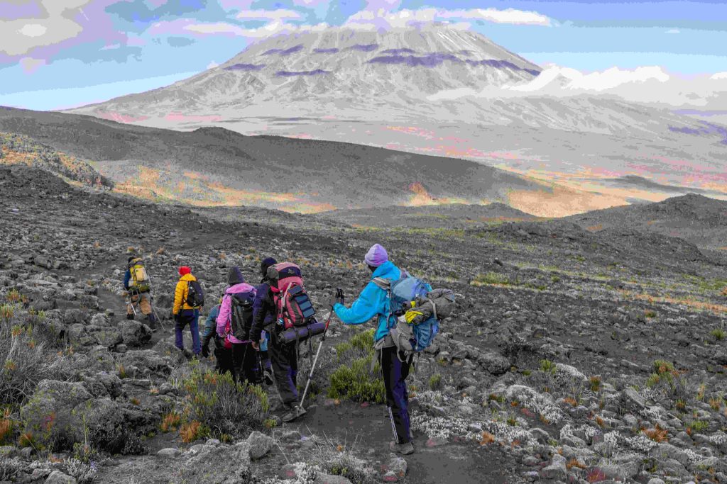 Kilimanjaro Trails