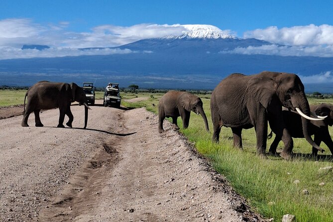 Amboseli National Park