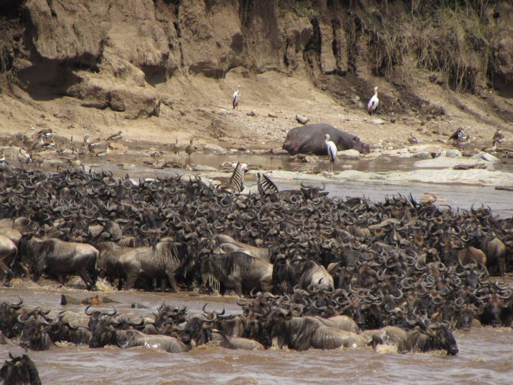 Maasai Mara National Reserve